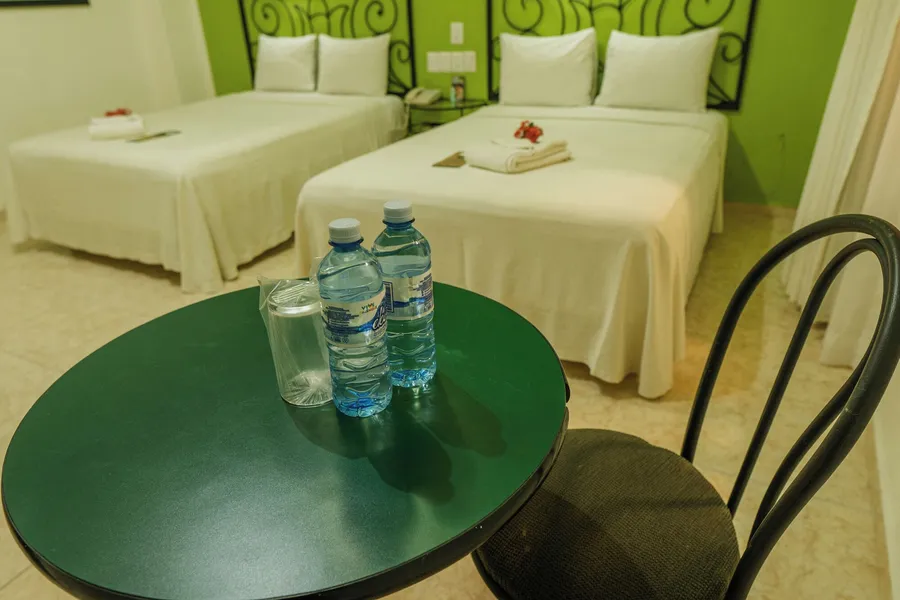 Maya Tulipanes Express hotel detail image 6