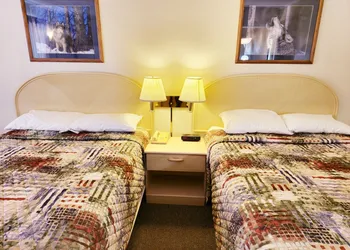 Gray Wolf Lodge hotel thumbnail 4
