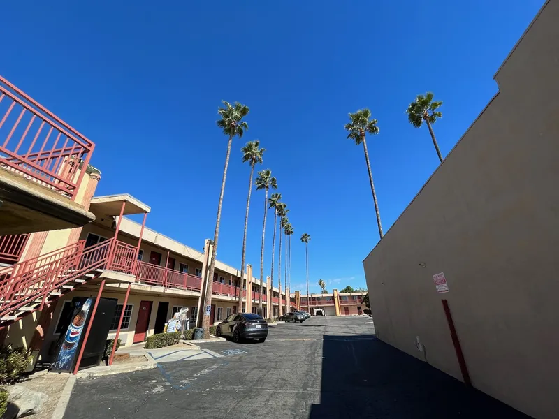 Palm Tree Inn hotel detail image 6