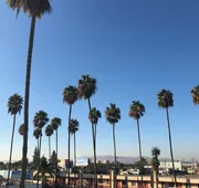 Palm Tree Inn hotel detail image 7