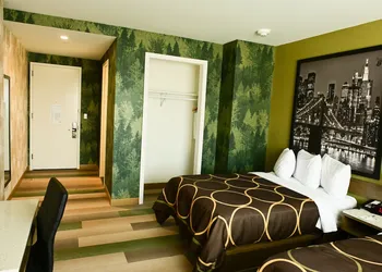 Super 8 by Wyndham Bronx Near Botanical Garden hotel thumbnail 6