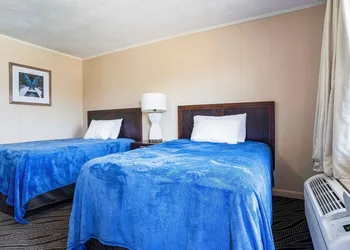 OYO Hotel Opp Al, Floral Hwy hotel thumbnail 5