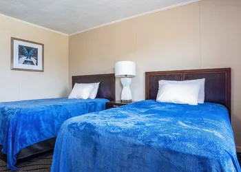 OYO Hotel Opp Al, Floral Hwy hotel thumbnail 7
