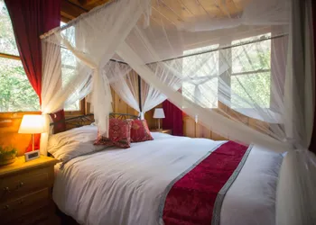 Quiet Mind Lodge Retreat & Spa Sequoias hotel thumbnail 5