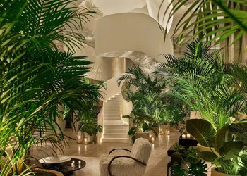 The Tampa EDITION hotel thumbnail 7