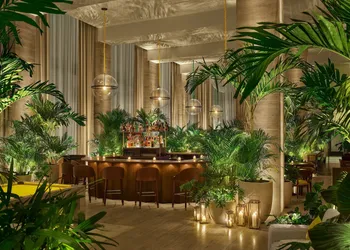 The Tampa EDITION hotel thumbnail 4