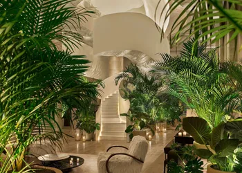 The Tampa EDITION hotel thumbnail 7
