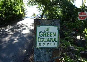 The Green Iguana Hotel hotel thumbnail 6