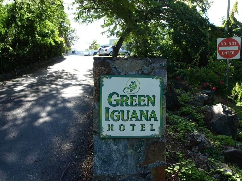 The Green Iguana Hotel hotel detail image 6