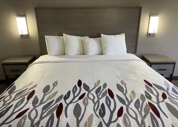 Red Roof Inn Jacksonville, AL hotel thumbnail 5