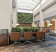 Embassy Suites by Hilton Irving Las Colinas hotel detail image 4