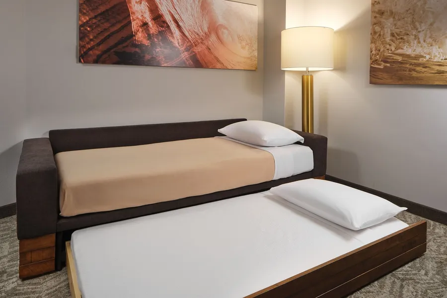 SpringHill Suites by Marriott Jacksonville Baymeadows hotel detail image 6