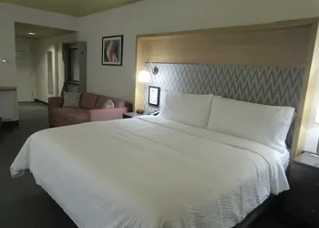 Holiday Inn Orlando International Dr-ICON by IHG hotel thumbnail 8
