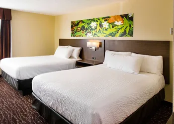 Days Inn & Conference Centre by Wyndham Prince Albert hotel thumbnail 8