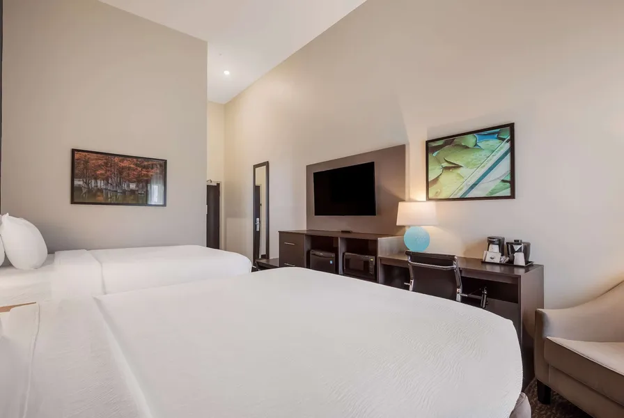 La Quinta Inn & Suites by Wyndham Sulphur (Lake Charles) hotel detail image 6