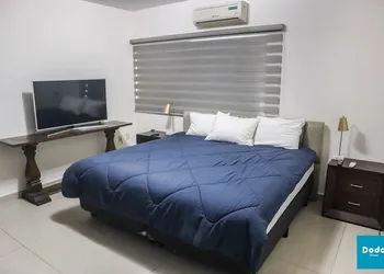 Dodo Plaza Machado hotel thumbnail 8