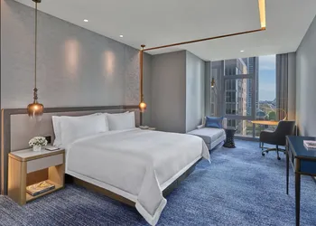 The St. Regis Chicago hotel thumbnail 6