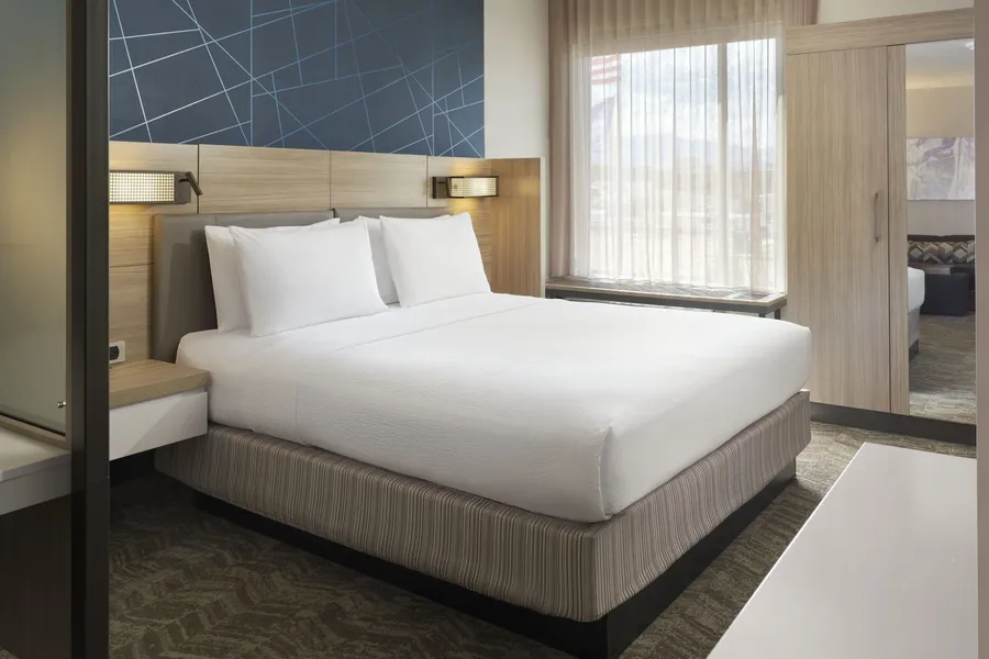 Springhill Suites By Marriott Las Vegas Airport hotel detail image 6