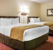 Canberra Premiere Comfort Hotel hotel detail image 4