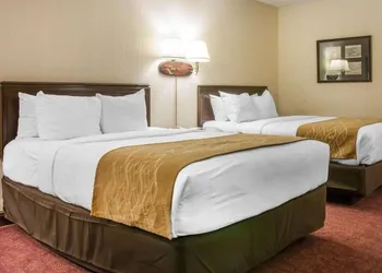 Canberra Premiere Comfort Hotel hotel thumbnail 4