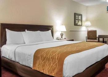 Canberra Premiere Comfort Hotel hotel thumbnail 7