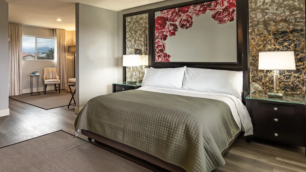 Onsen Hotel & Spa hotel detail image 6
