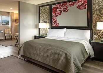Onsen Hotel & Spa hotel thumbnail 6