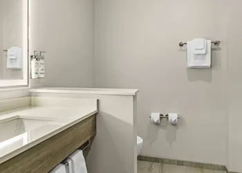Holiday Inn Express & Suites Nokomis Sarasota South by IHG hotel thumbnail 5