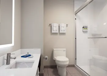Holiday Inn Express & Suites Nokomis Sarasota South by IHG hotel thumbnail 8