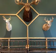 Lodge at Schroon Lake hotel detail image 5