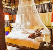 Beachfront Palapa In El Cuyo, Best Views hotel detail image 3