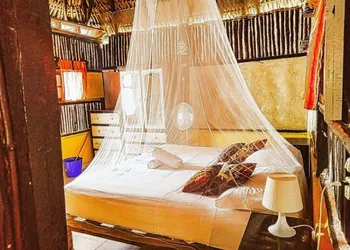 Beachfront Palapa In El Cuyo, Best Views hotel thumbnail 3