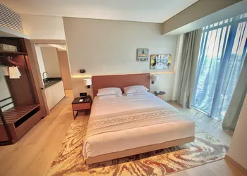 Hyatt Regency Mexico City Insurgentes - WTC hotel thumbnail 6