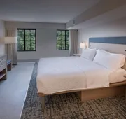 Homewood Suites by Hilton Atlanta Buckhead Pharr Road hotel detail image 4