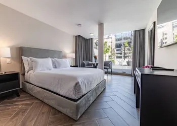 Pent House Masaryk 17 hotel thumbnail 6