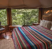 Destino Mío Mayan Jungle Retreat hotel detail image 3