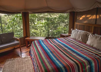 Destino Mío Mayan Jungle Retreat hotel thumbnail 3