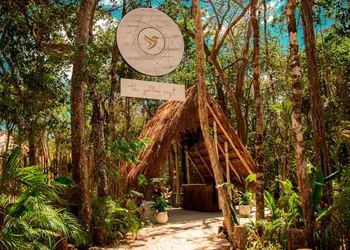 The Yellow Nest hotel thumbnail 2