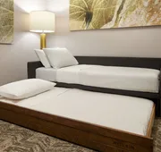 Springhill Suites By Marriott Frederica hotel detail image 7
