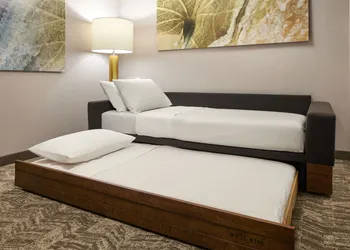 Springhill Suites By Marriott Frederica hotel thumbnail 7