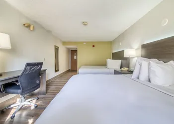 Baymont by Wyndham Orlando/International Dr/Universal Blvd hotel thumbnail 6