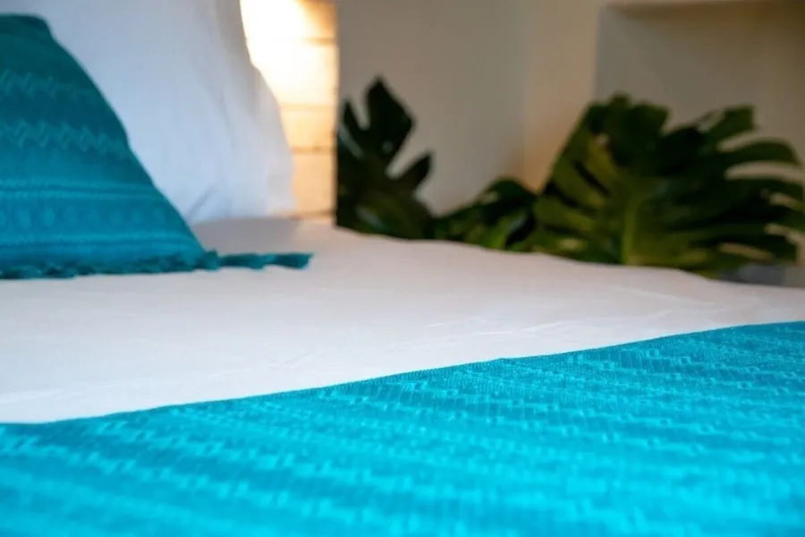 Casa Cheleb hotel detail image 2