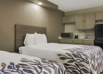 Red Roof Inn & Conference Center Chicago - Aurora/ Fox Valley hotel thumbnail 5