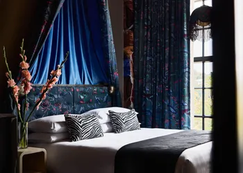 The Radical Asheville, Tapestry Collection by Hilton hotel thumbnail 7