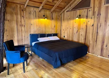 PINE TREE Hotel Boutique & Cabañas hotel thumbnail 5