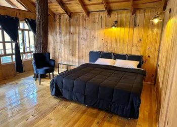 PINE TREE Hotel Boutique & Cabañas hotel thumbnail 6