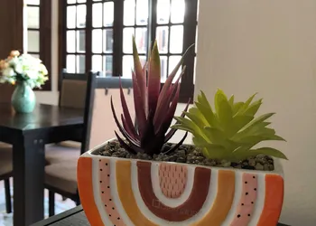 Hotel Boutique Villas Segovia Cozumel hotel thumbnail 7