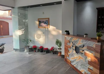Hotel Axolotl hotel thumbnail 2