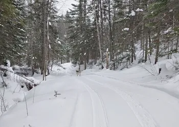 Estonia Hébergement Nature hotel thumbnail 6