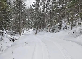 Estonia Hébergement Nature hotel thumbnail 6